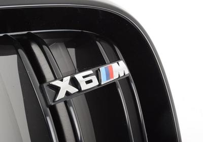 BMW Performance   M Performance  BMW X6M F86 (,  1)