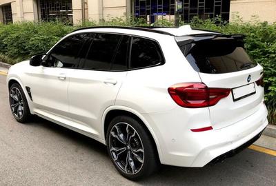   M Performance  BMW X3M F97 (,  1)