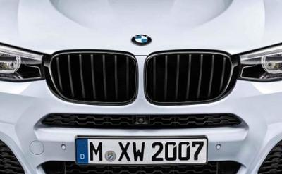 BMW Performance   M Performance  BMW X3 F25 X4 F26 ()