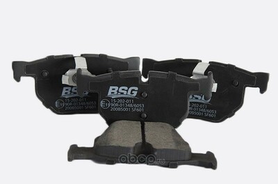 BSG AUTO PARTS   - 