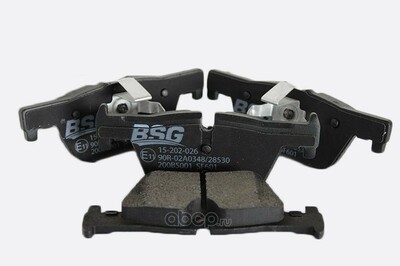 BSG AUTO PARTS   - 